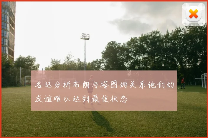 名记分析布朗与塔图姆关系他们的友谊难以达到最佳状态
