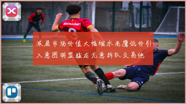 浓眉市场价值大幅缩水老鹰低价引入意图明显猛龙无意拆队交易他